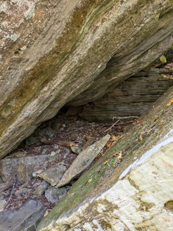 pxl_20241016_170216313.jpg
