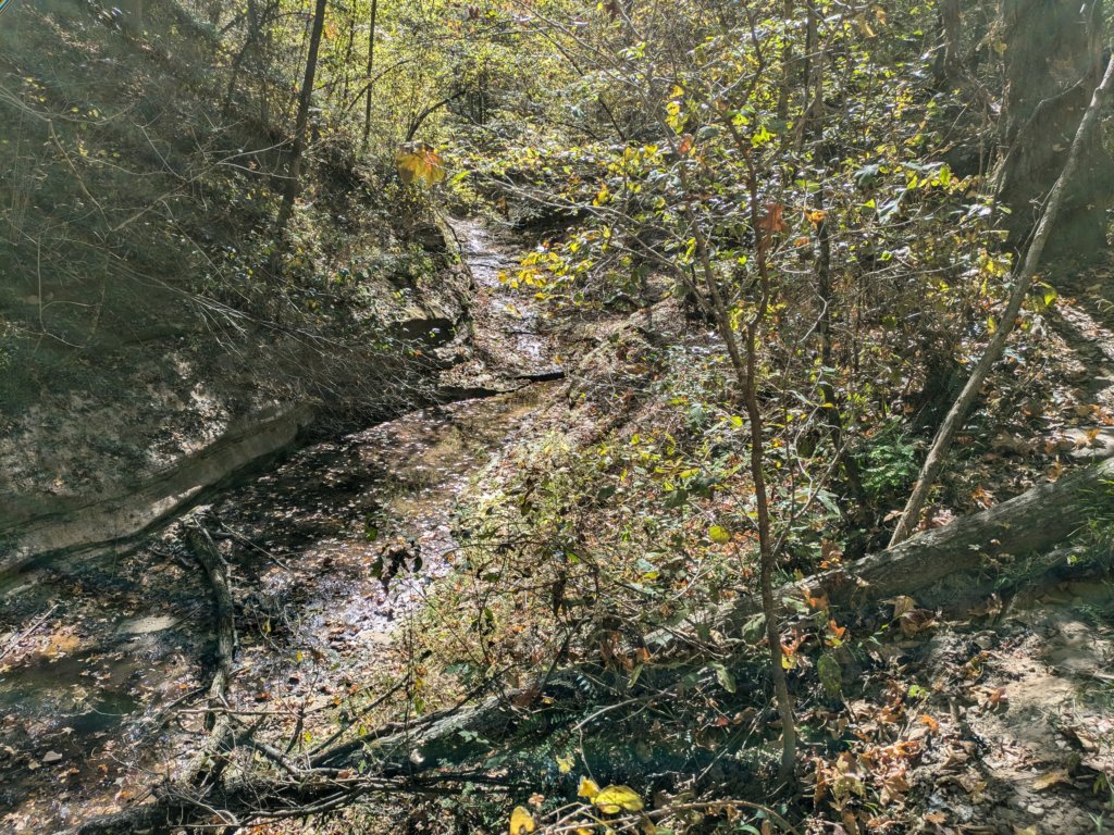 pxl_20241016_171034483.jpg