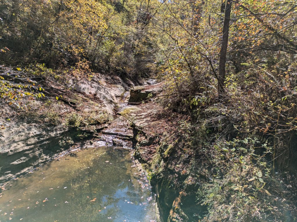 pxl_20241016_171632094.jpg