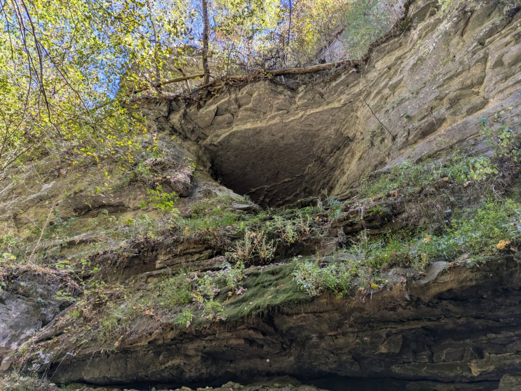 pxl_20241016_172623136.jpg