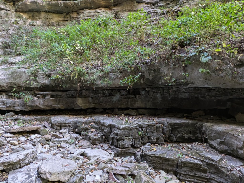 pxl_20241016_172729712.jpg