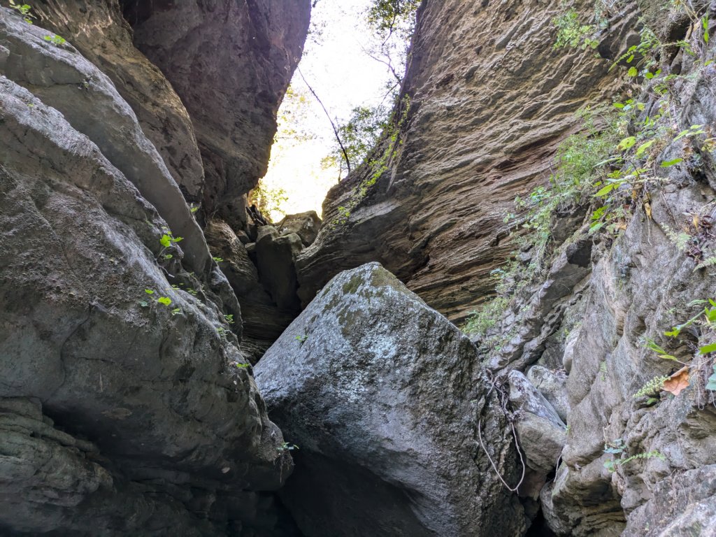 pxl_20241016_173224763.jpg