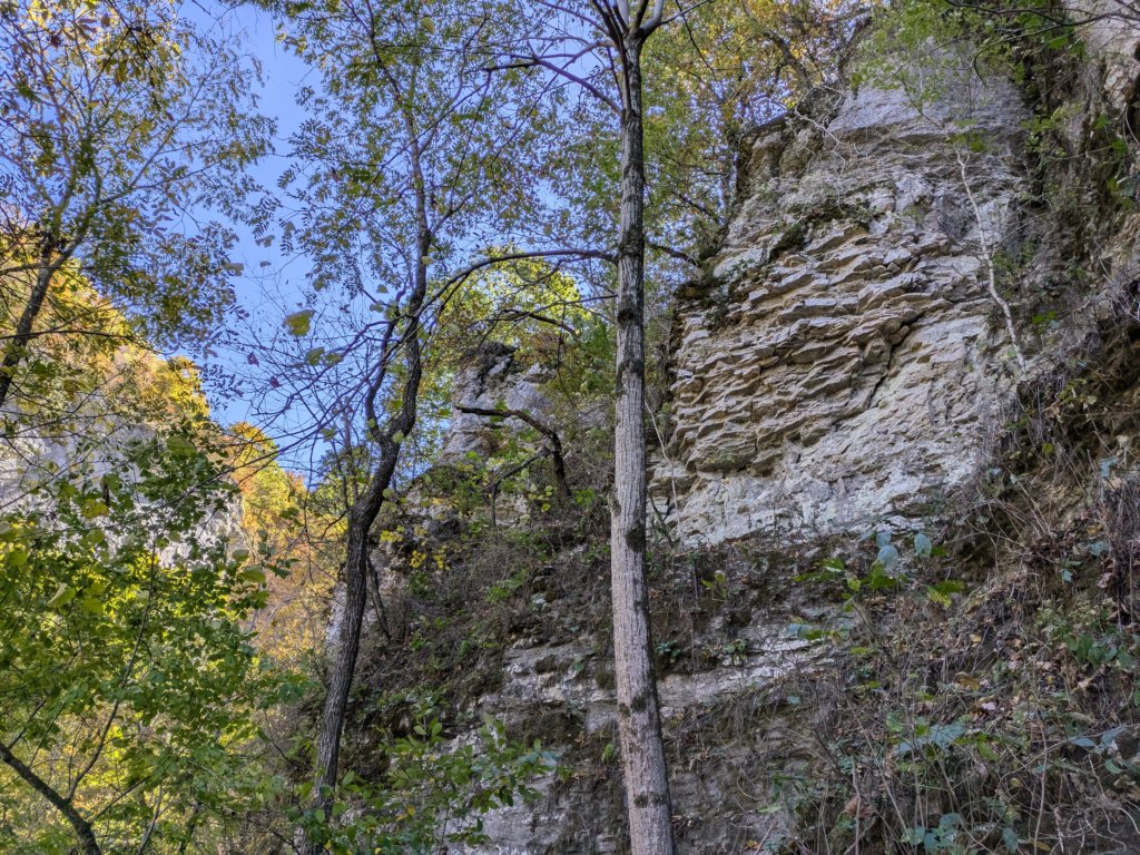 pxl_20241016_183221885.jpg