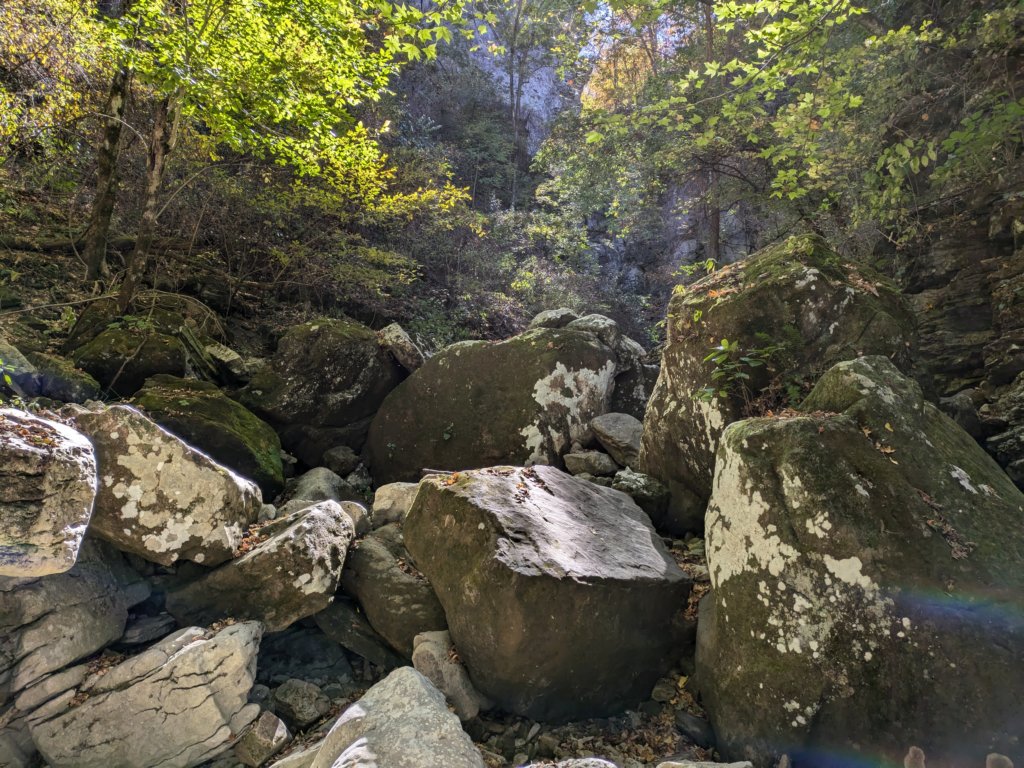 pxl_20241016_183913129.jpg