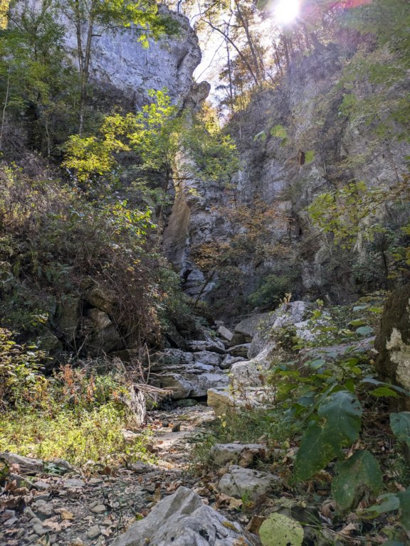 pxl_20241016_184136016.jpg