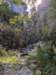 pxl_20241016_184136016_small.jpg