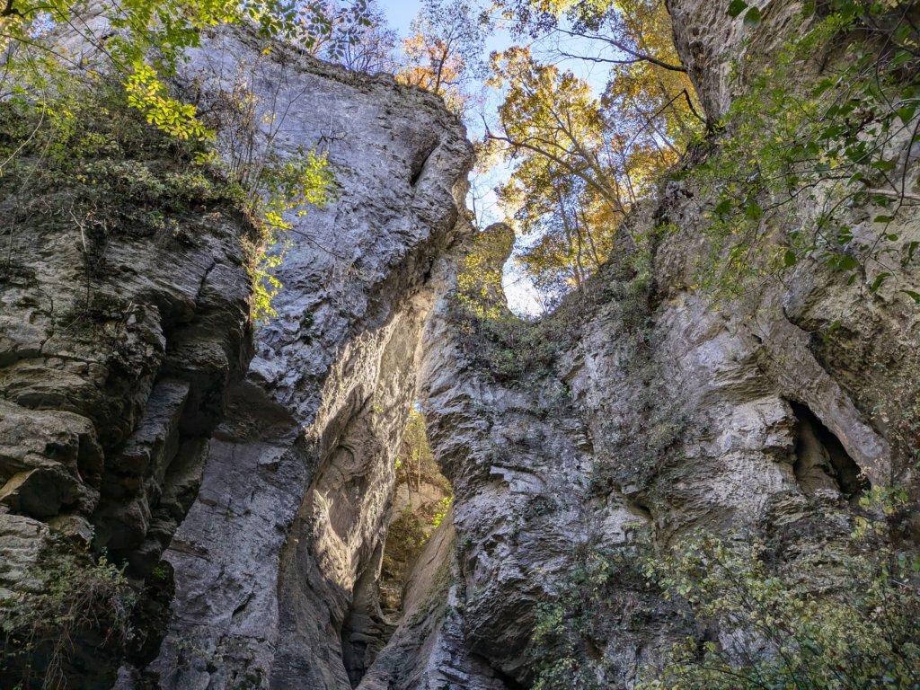 pxl_20241016_184434487.jpg