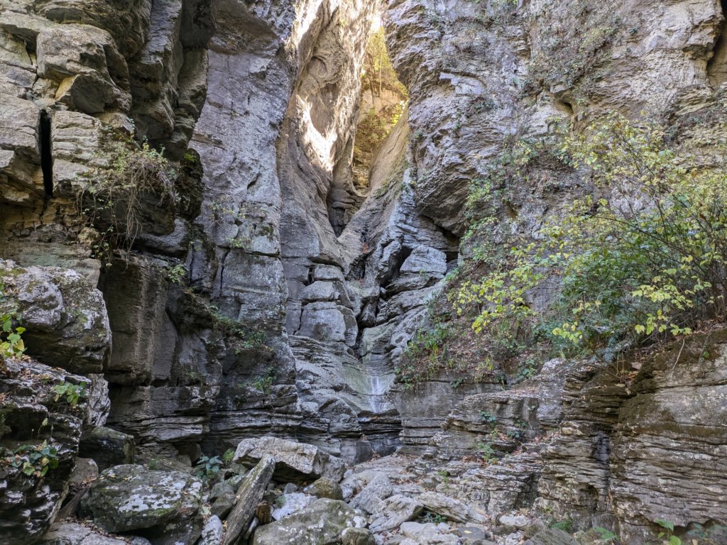pxl_20241016_184436461.jpg