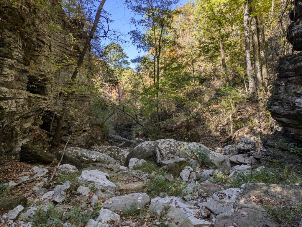 pxl_20241016_185402335.jpg