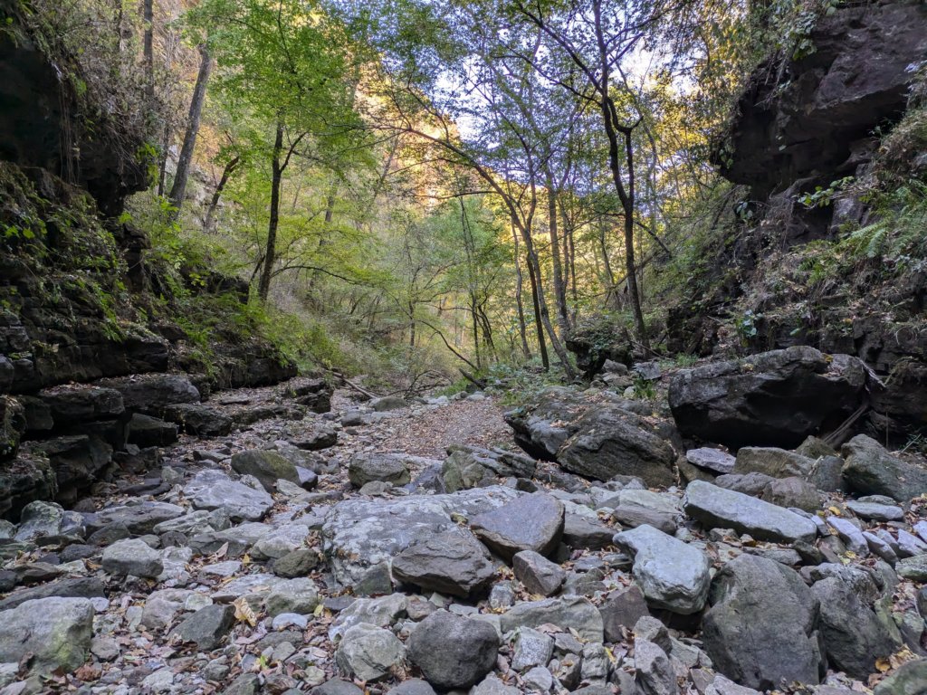 pxl_20241016_190847810.jpg
