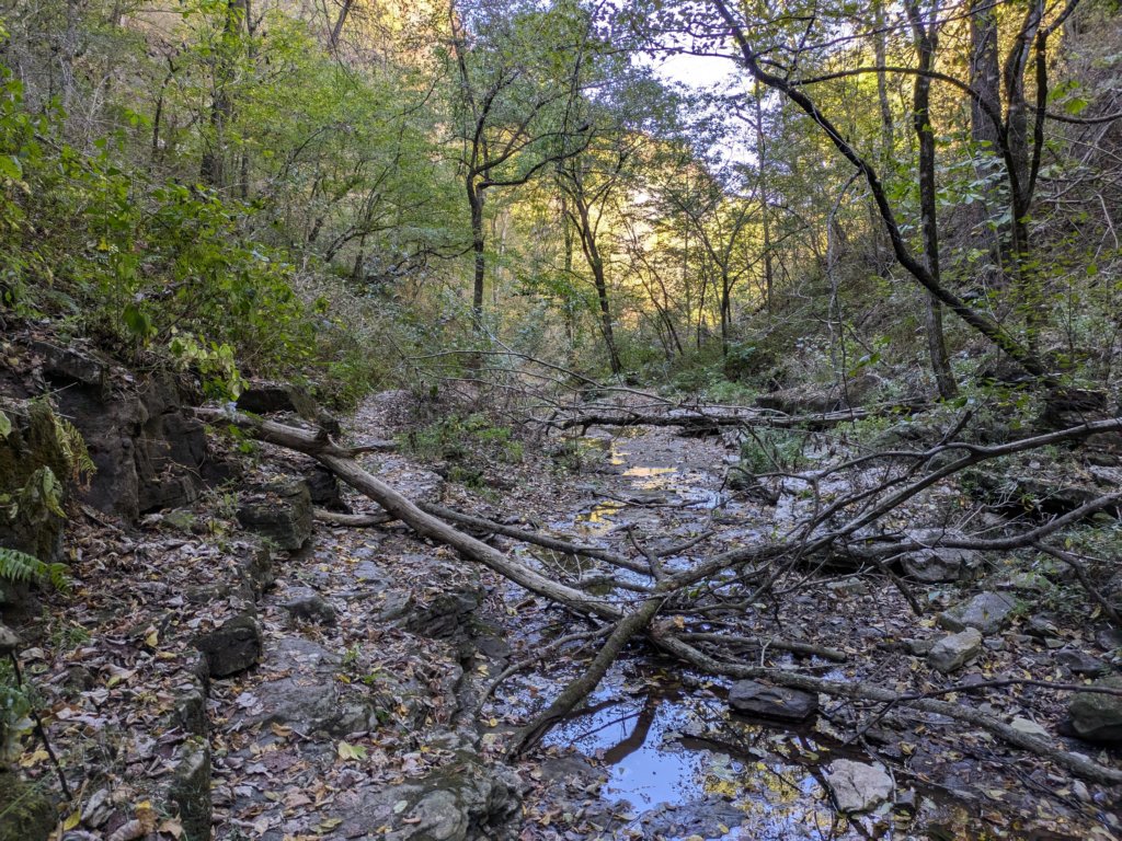 pxl_20241016_190928613.jpg
