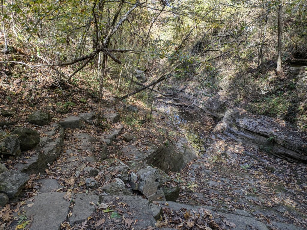 pxl_20241016_192237619.jpg