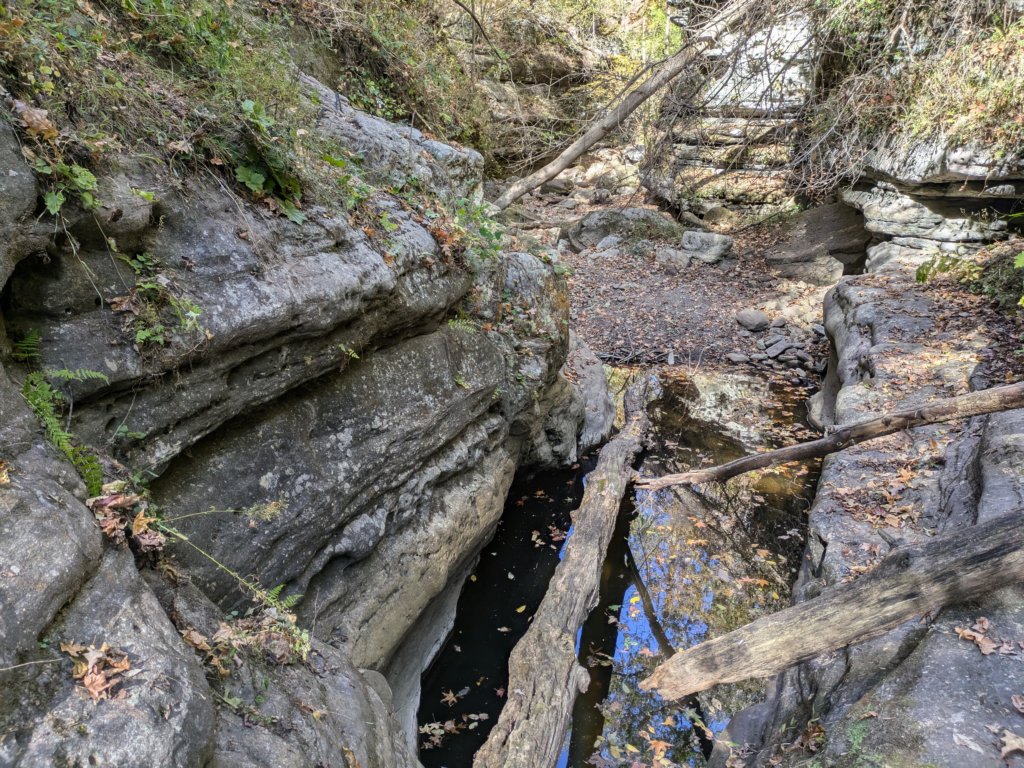 pxl_20241016_192421495.jpg