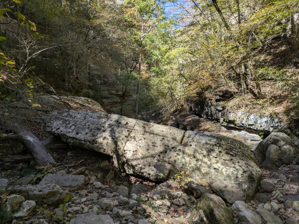 pxl_20241016_192907768.jpg