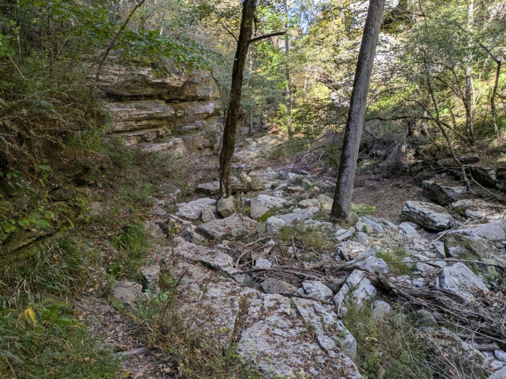 pxl_20241016_193307915.jpg