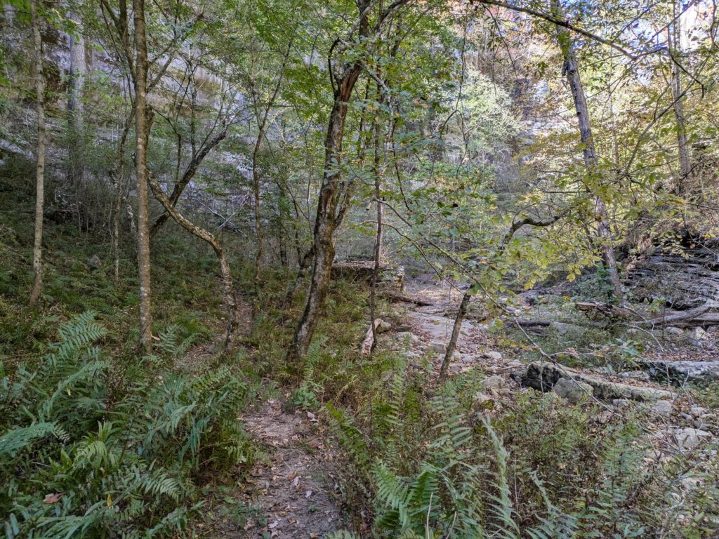 pxl_20241016_193804895.jpg