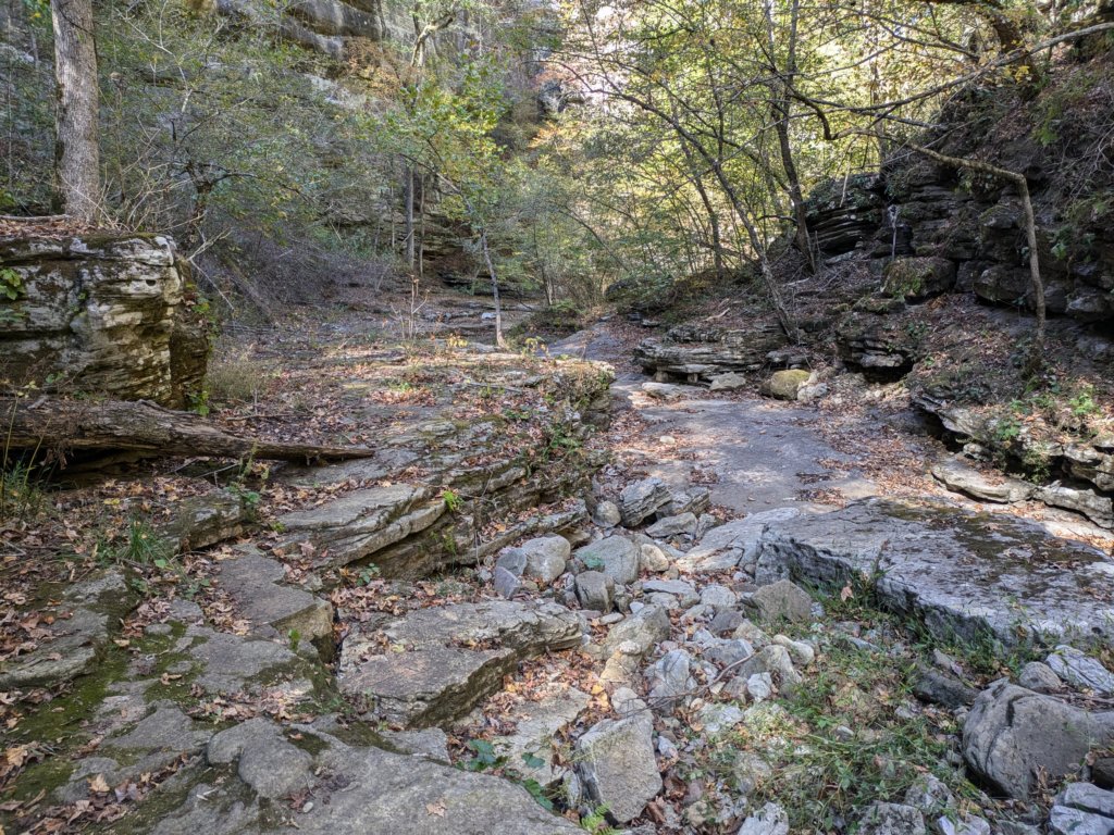 pxl_20241016_193849829.jpg