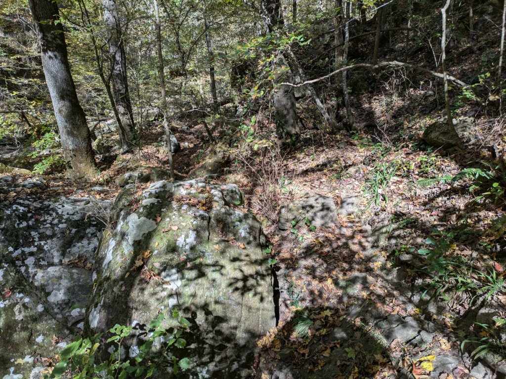 pxl_20241016_195129994.jpg
