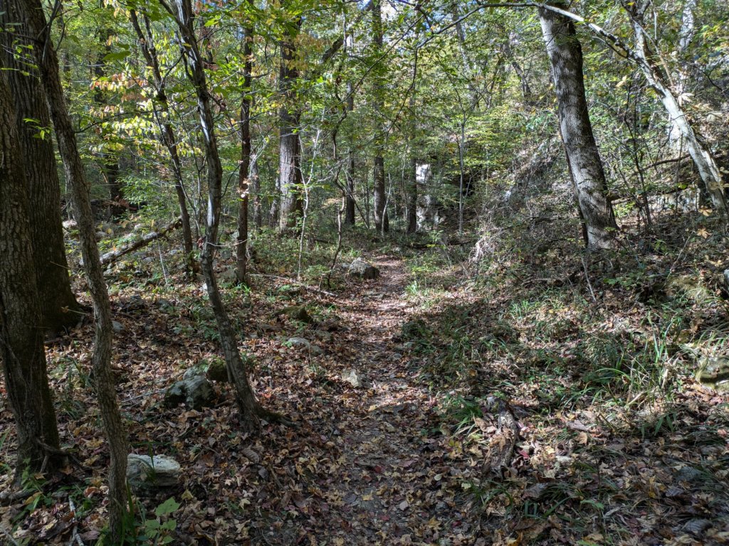pxl_20241016_202607322.jpg