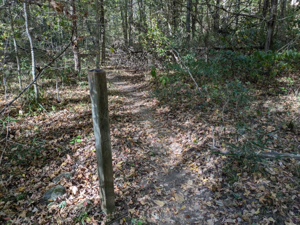 pxl_20241016_202948006.jpg
