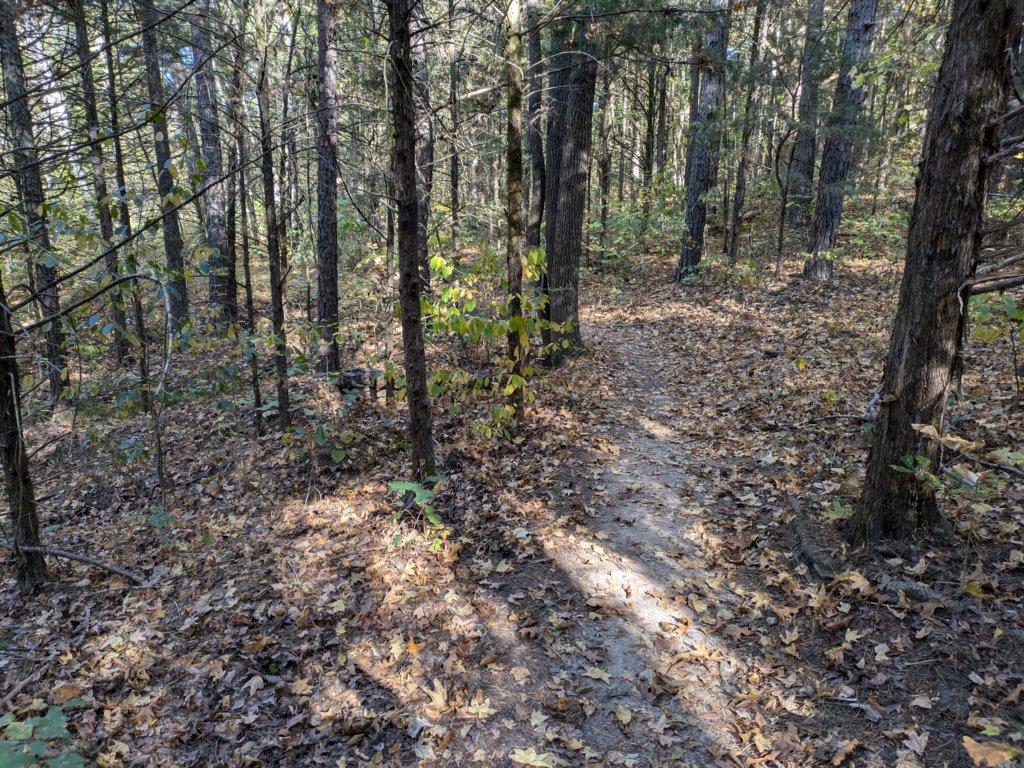 pxl_20241016_203740883.jpg