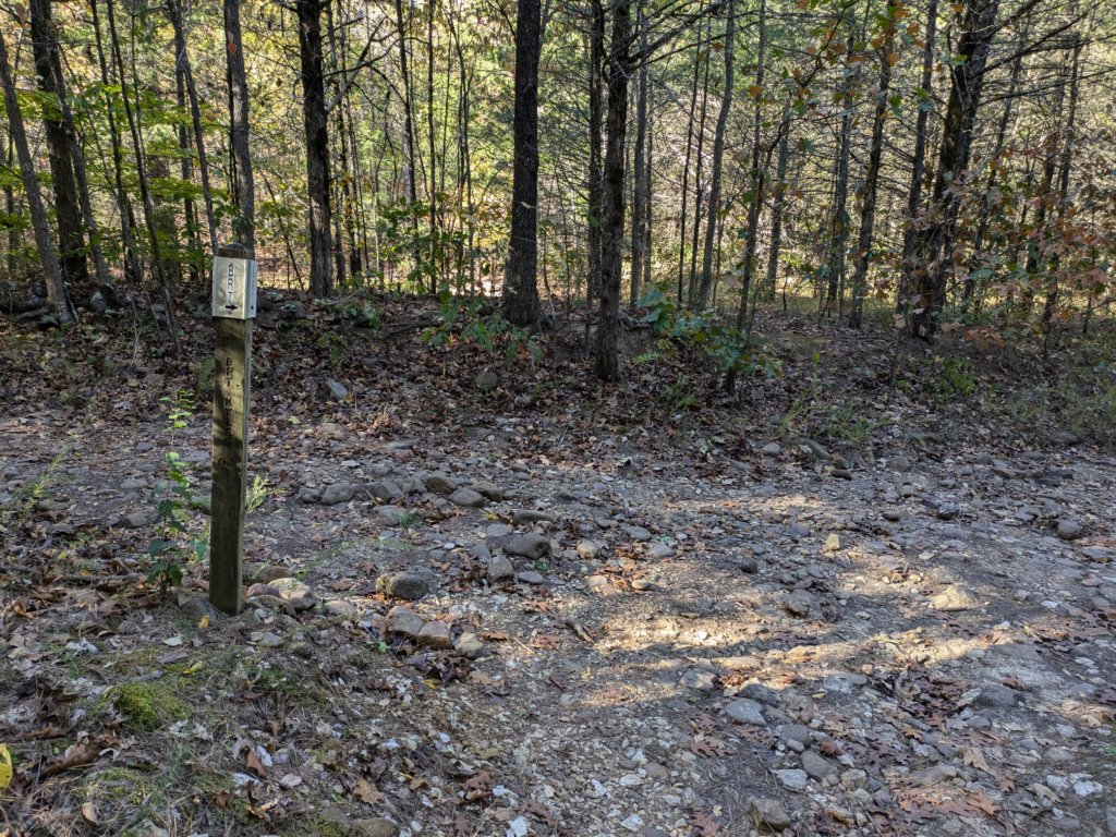 pxl_20241016_204212045.jpg