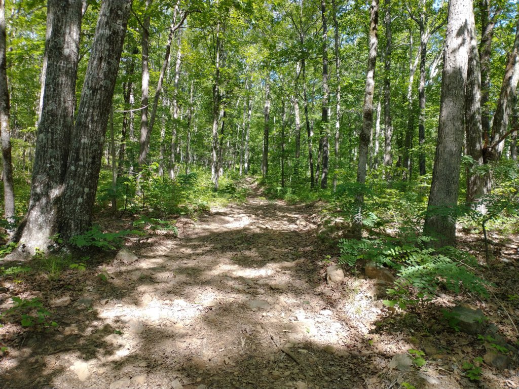 img_20220603_100523423.jpg