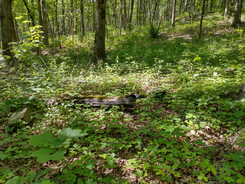 img_20220603_100728704_hdr.jpg