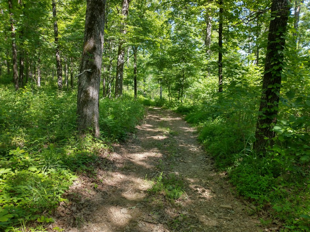 img_20220603_100846778_hdr.jpg