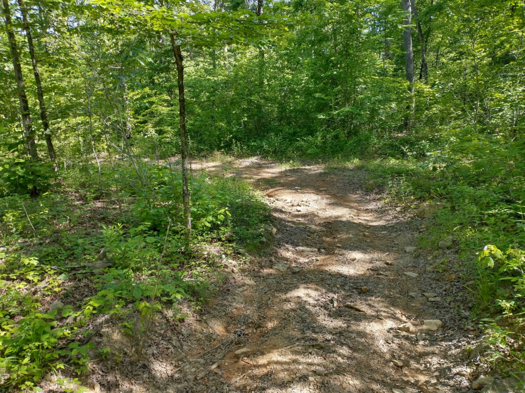 img_20220603_101443230_hdr.jpg
