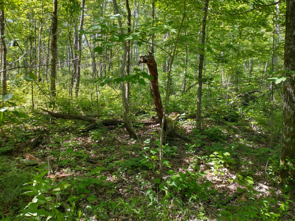 img_20220603_101636981_hdr.jpg