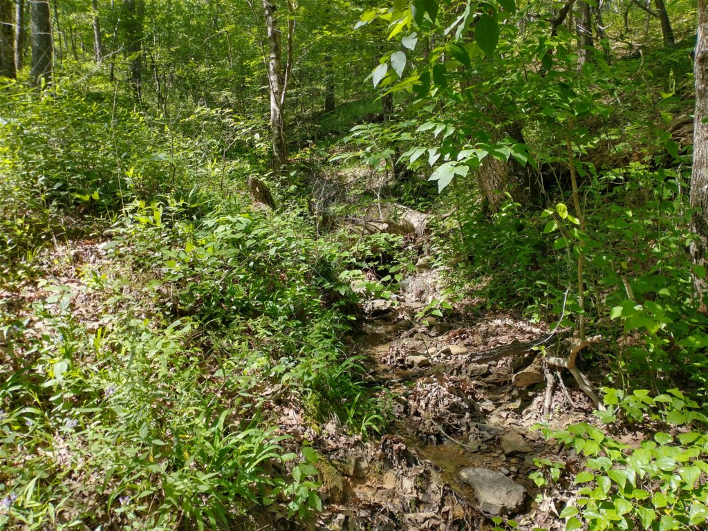 img_20220603_102119679_hdr.jpg