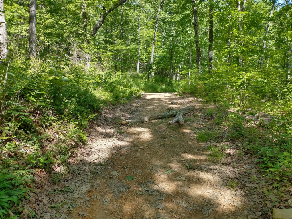 img_20220603_102901480_hdr.jpg