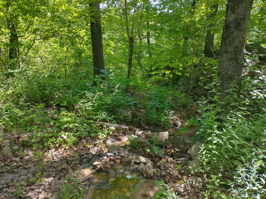 img_20220603_102945998_hdr.jpg