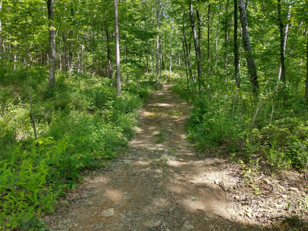img_20220603_103005375_hdr.jpg