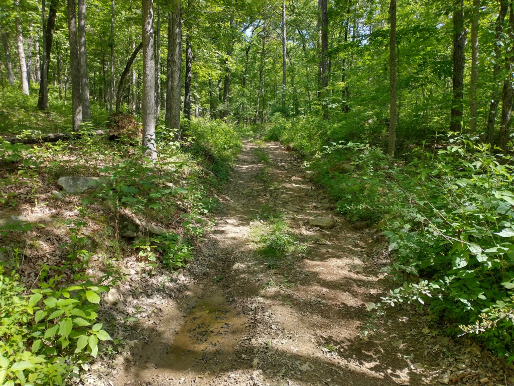 img_20220603_103340489_hdr.jpg