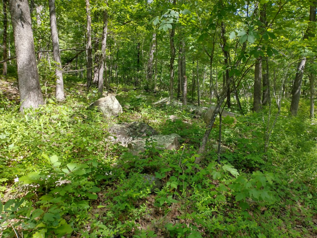 img_20220603_103459081_hdr.jpg