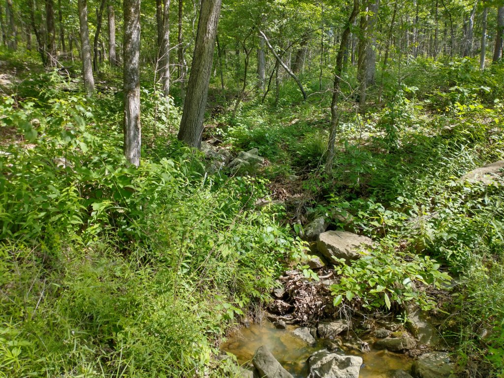 img_20220603_103739800_hdr.jpg