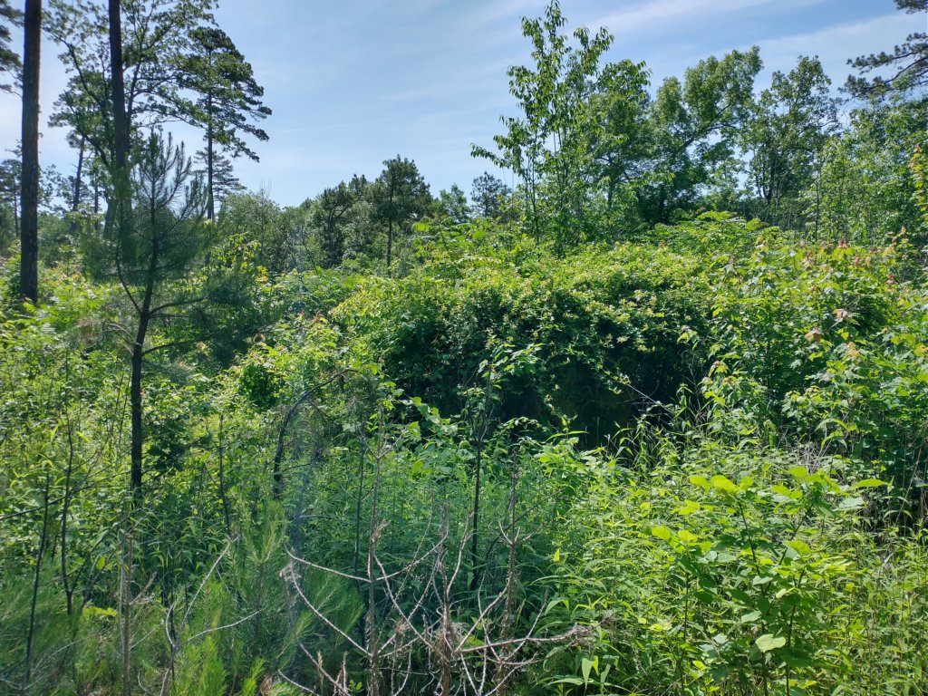 img_20220603_103823872_hdr.jpg