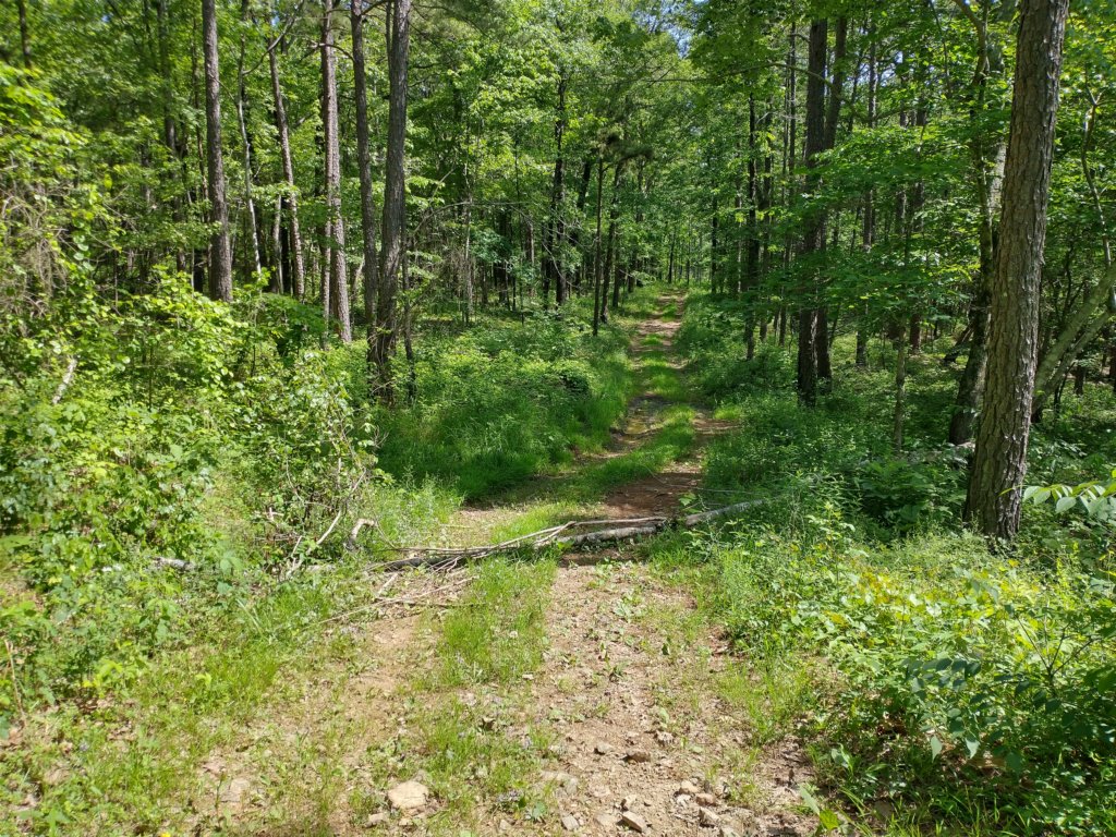 img_20220603_104724580_hdr.jpg