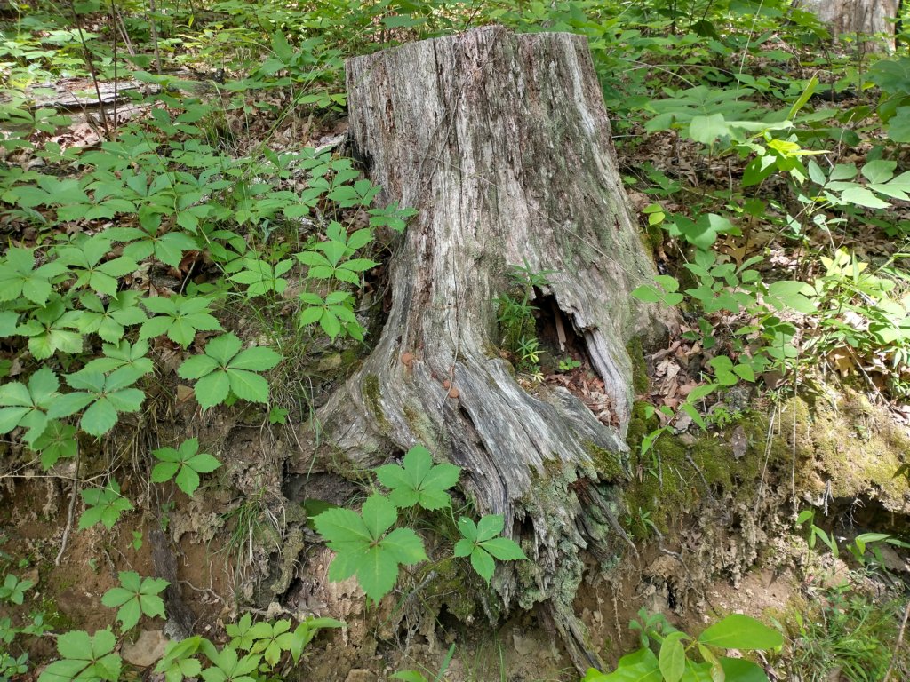 img_20220603_105859758_hdr.jpg