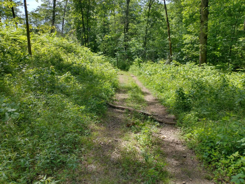 img_20220603_110552919_hdr.jpg
