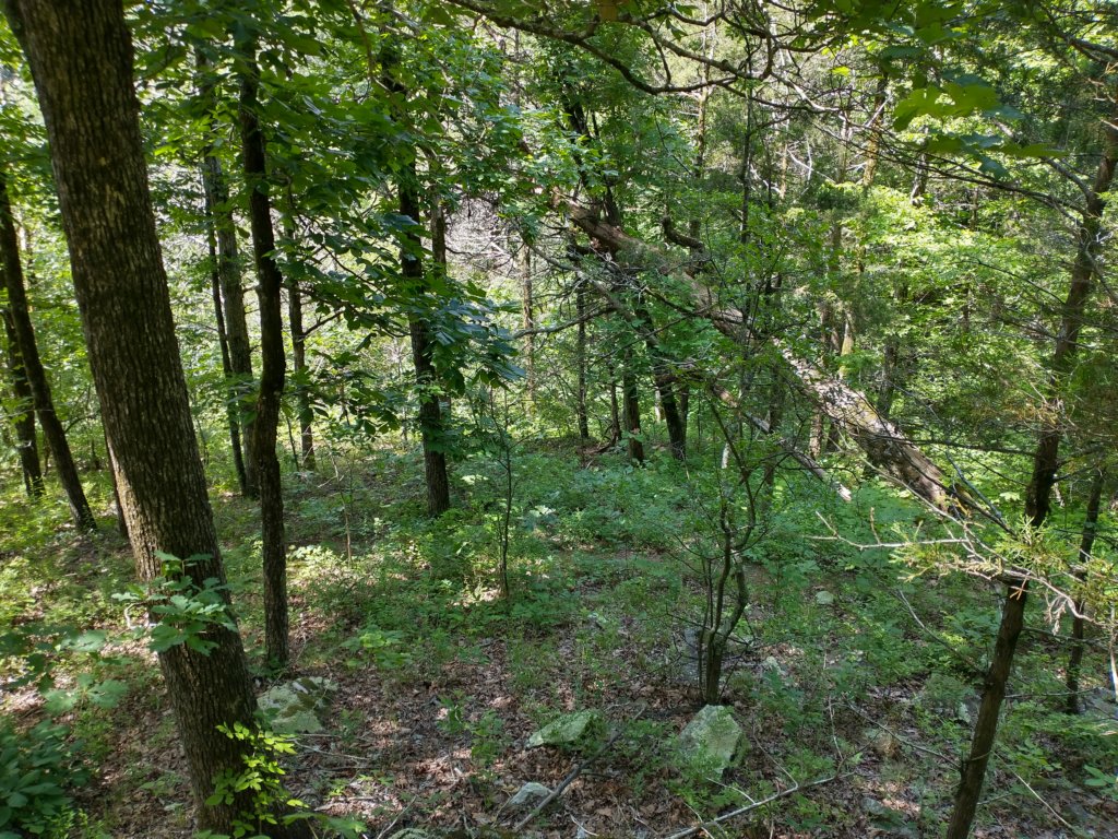 img_20220603_111128005_hdr.jpg