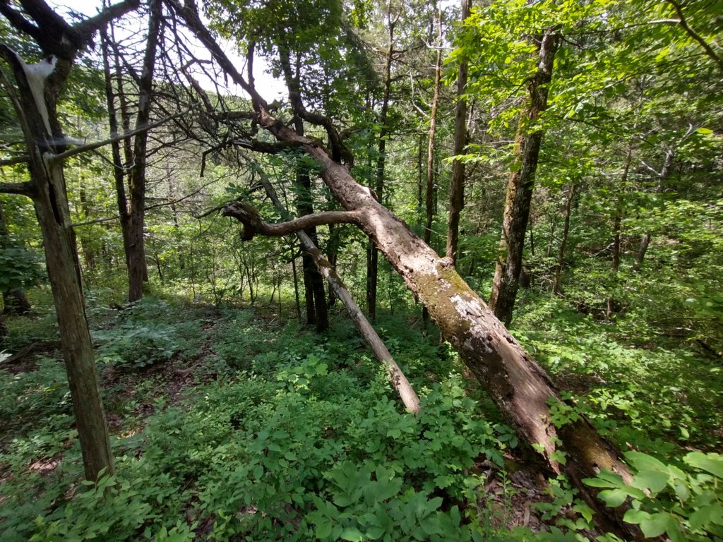 img_20220603_111320745_hdr.jpg