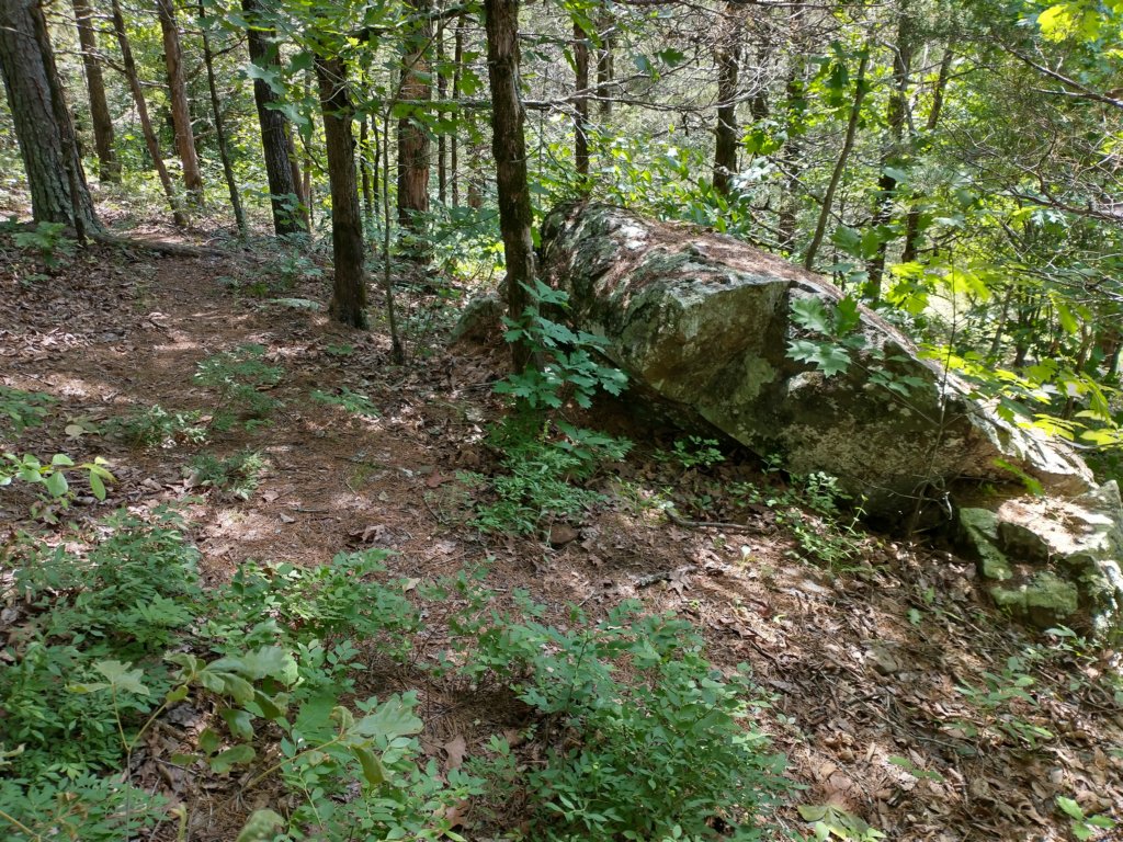 img_20220603_111411628_hdr.jpg