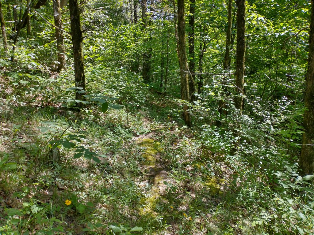 img_20220603_111551707_hdr.jpg