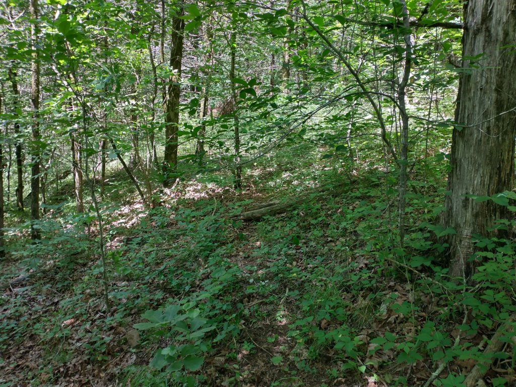 img_20220603_111904281_hdr.jpg