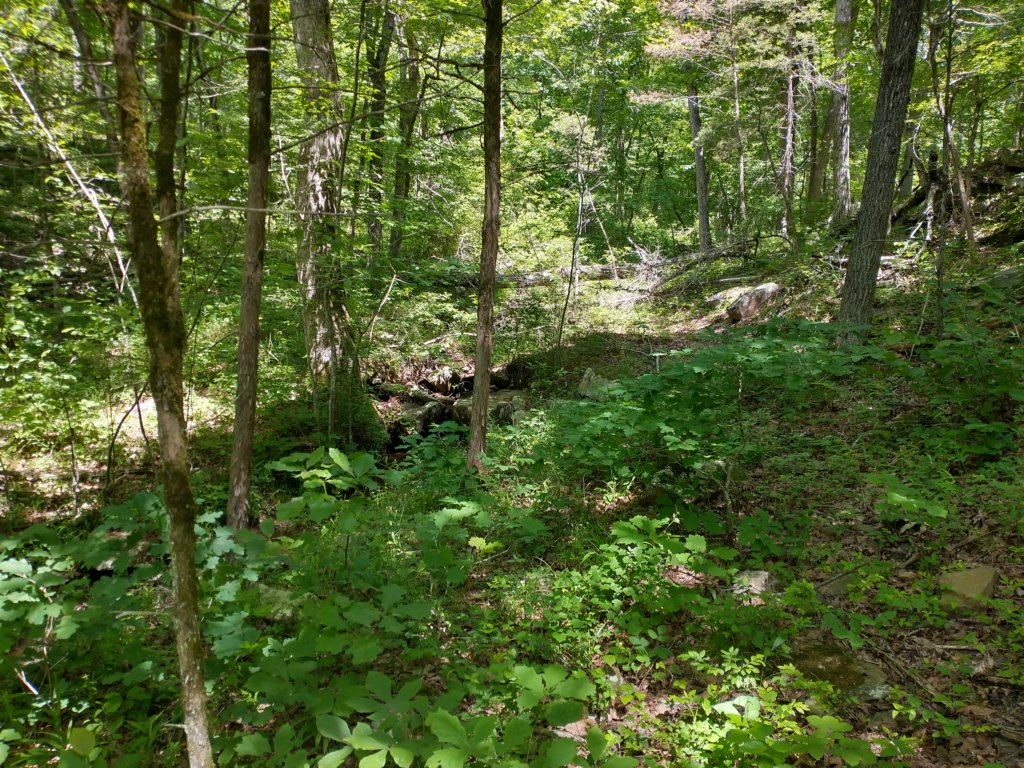 img_20220603_112406327_hdr.jpg