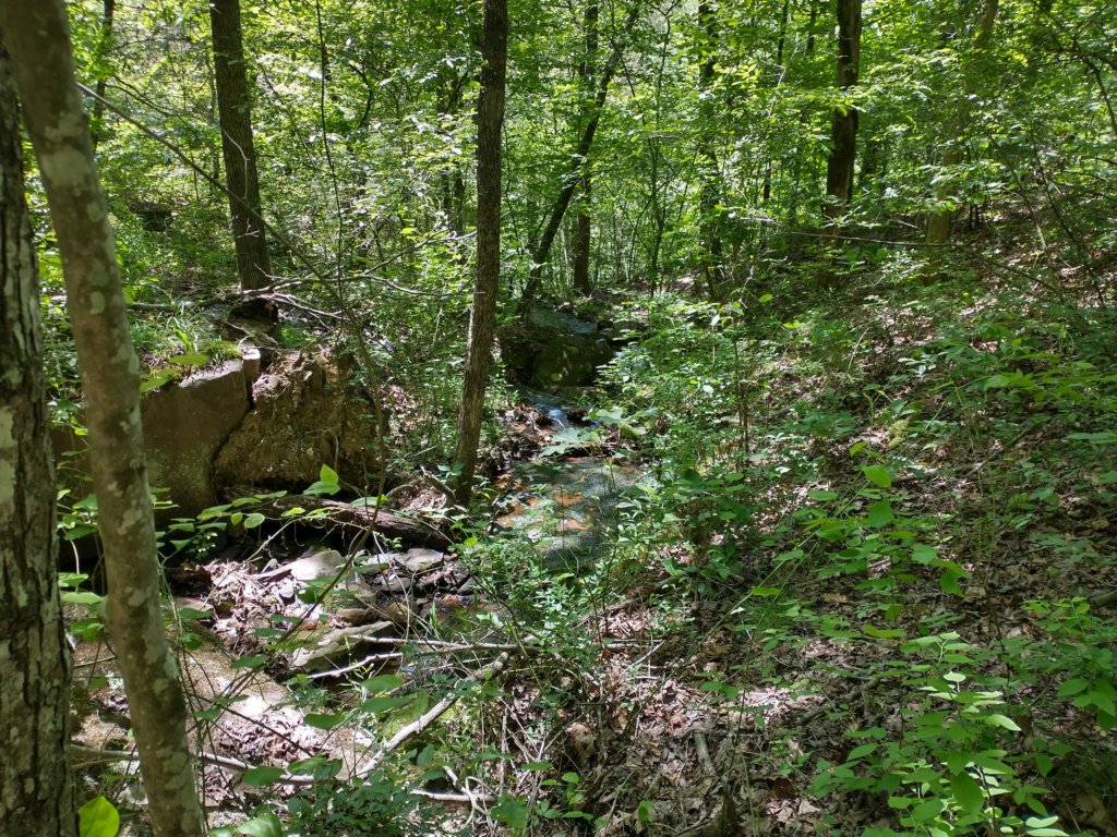 img_20220603_112454589_hdr.jpg