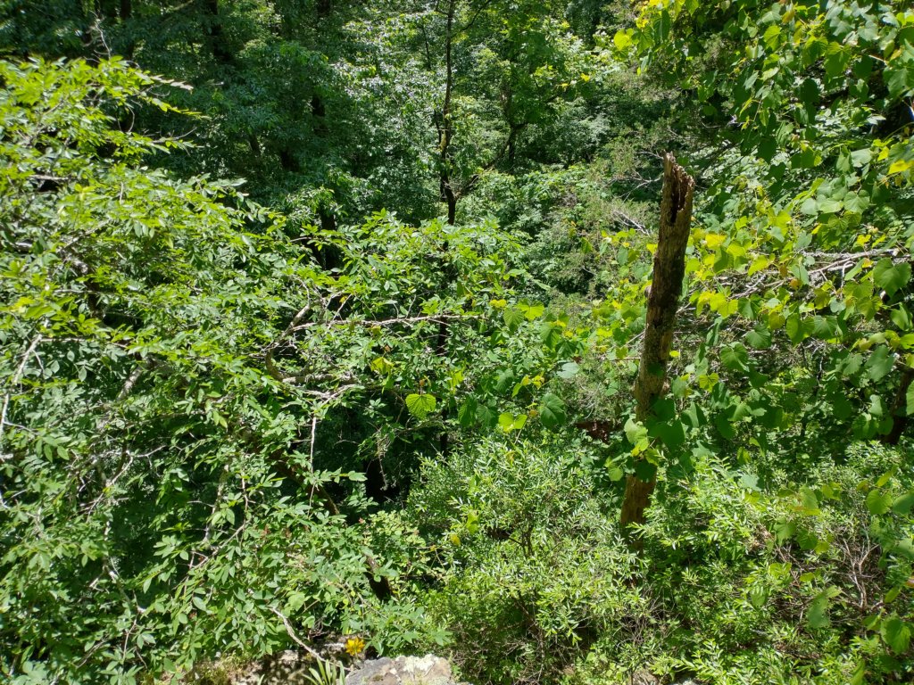 img_20220603_112754345_hdr.jpg